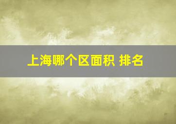 上海哪个区面积 排名